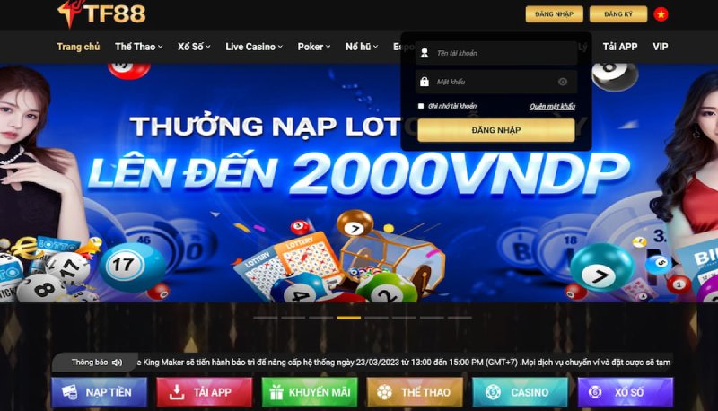 Các điều kiện cần thiết trước khi bắt đầu đăng ký TF88